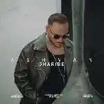 دانلود آهنگ غریبه از اشوان