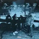 دانلود آهنگ طوطی از سینجیم