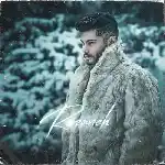 دانلود آهنگ مرداب از مرداد