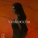 دانلود آهنگ نمیدونی از نیلا
